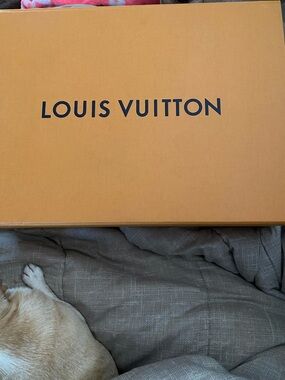Weekend Sale! Authentic Louis Vuitton Handbag